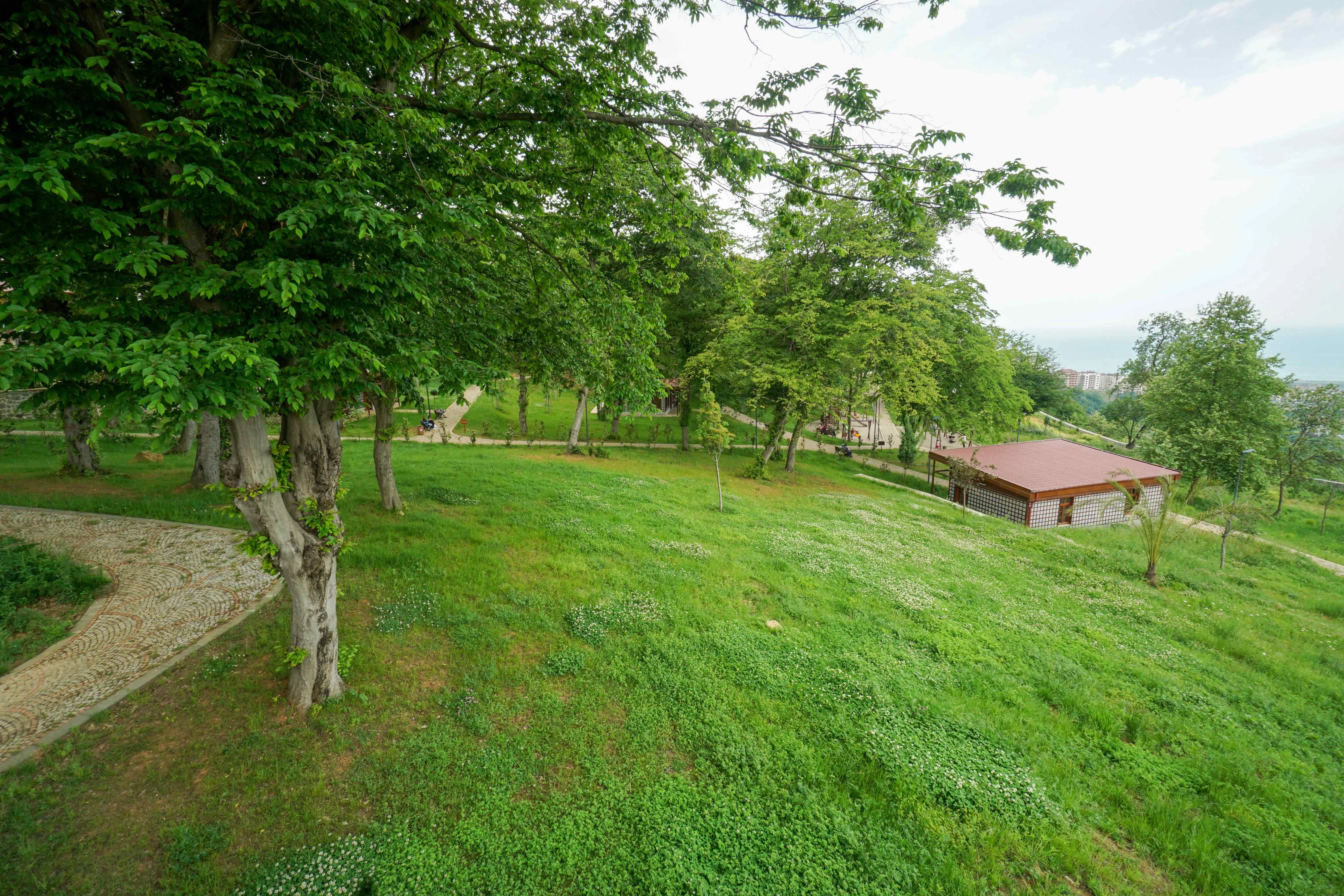 Botanik parki (36)